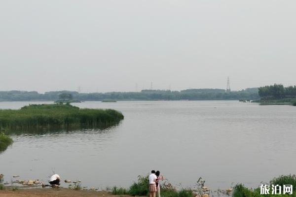 北京沙河水库钓鱼指南