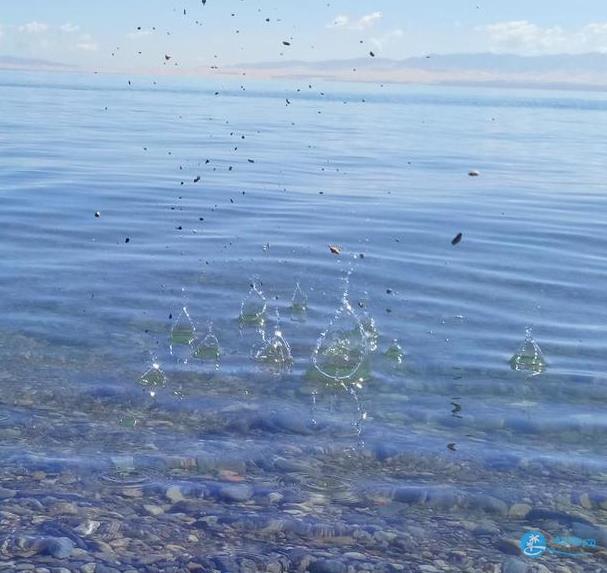 青海湖一日游攻略 青海湖一日游游记