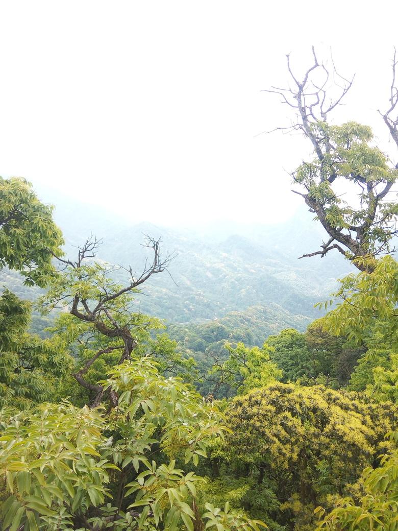 青城山好玩吗 青城山自驾一日游攻略