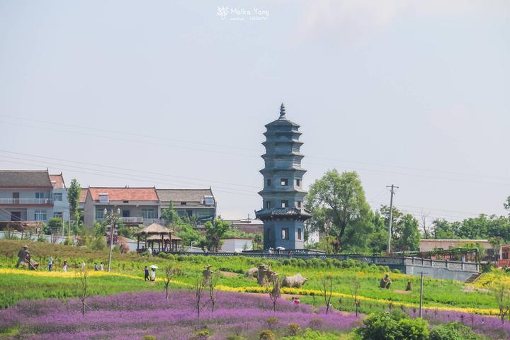白鹿原影视基地怎么坐公交走 白鹿原影视基地地收费吗 