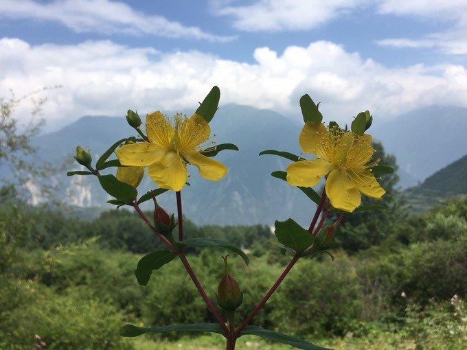 九顶山一日游攻略 九顶山旅游攻略