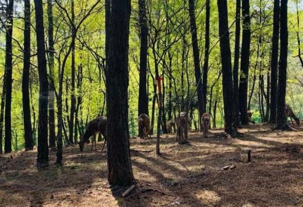 常州爬山的地方有哪些 登山好去处