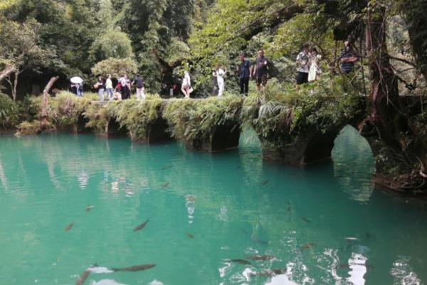 荔波大小七孔旅游攻略及最佳路线