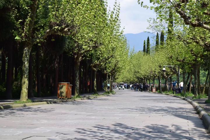  都江堰风景区在哪儿