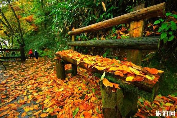 四川光雾山住宿那里比较好