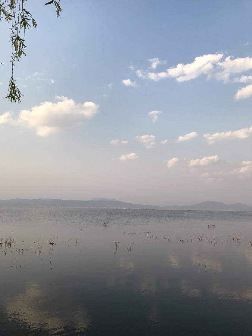 杞麓湖国家湿地公园自助旅游攻略