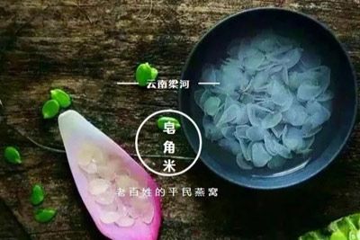 滇皂荚