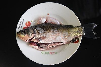 陈旗鲫