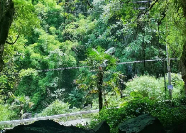 成都耍水露营避暑的地方-门票地址