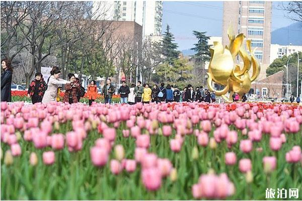 南京情侣园郁金香什么时候开