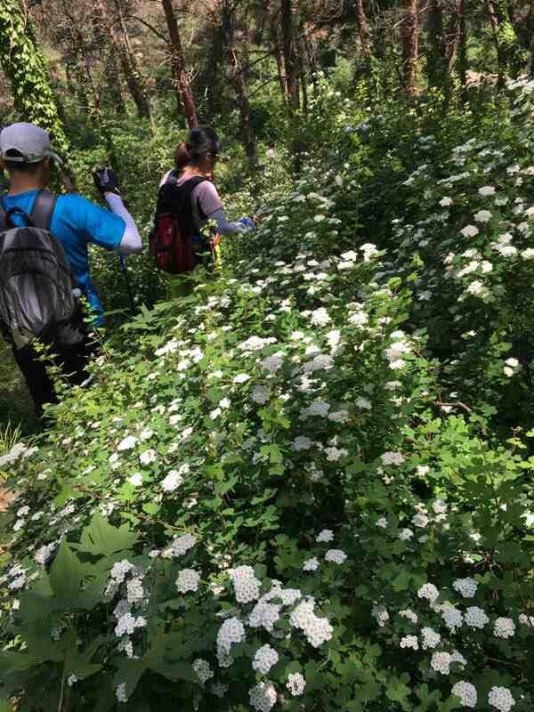 石人山旅游攻略 石人山风景区旅游攻略