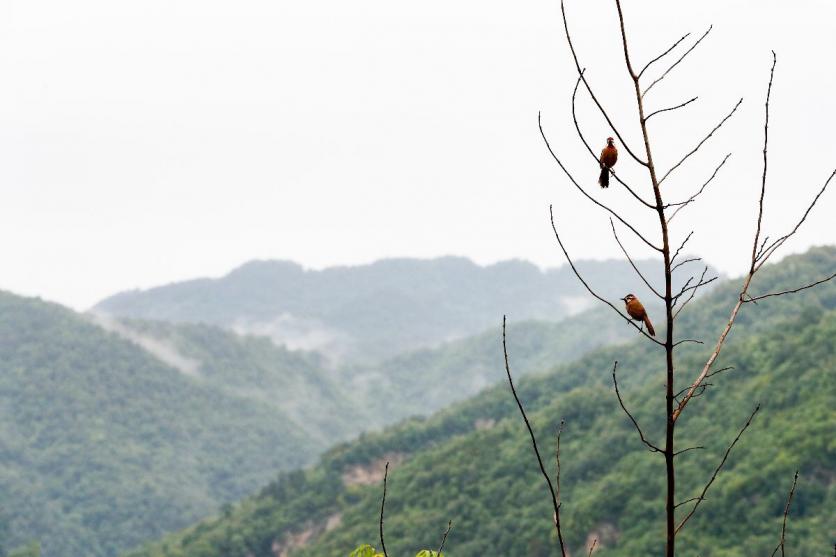 武当山自驾游旅游攻略 武当山自由行旅游游记