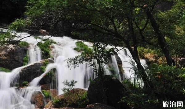 屏峰雨林公园好玩吗 屏峰雨林公园怎么样