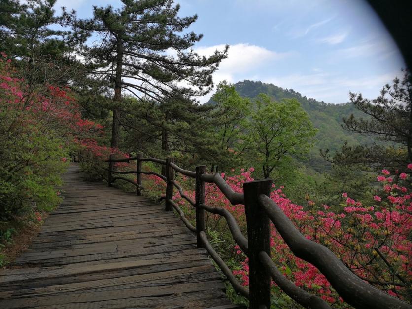 龟峰山风景区好玩吗 龟峰山旅游攻略