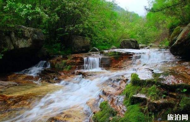 东坪沟高山草甸攻略