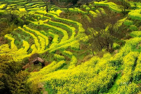 国内2月份春季旅游最佳去处推荐