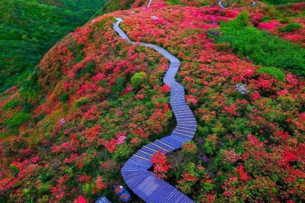 浏阳自驾游一日旅游景点推荐