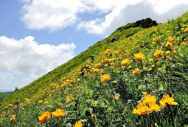 石家庄露营地点推荐