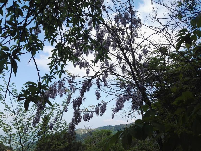 龟峰山风景区好玩吗 龟峰山旅游攻略