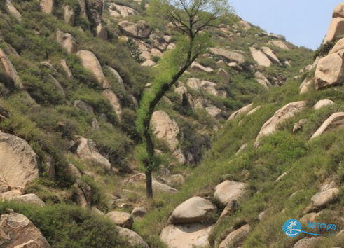 涞源白石山旅游景点及门票价格