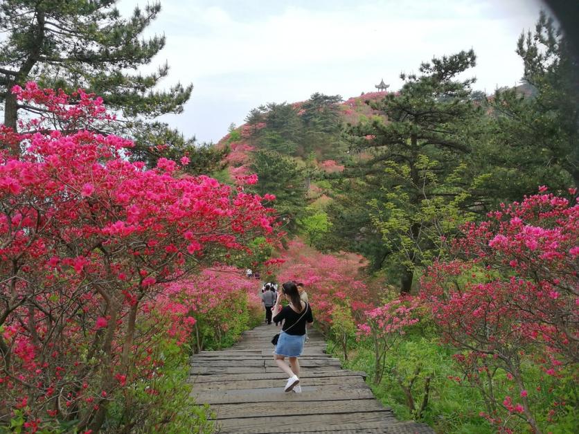 龟峰山风景区好玩吗 龟峰山旅游攻略