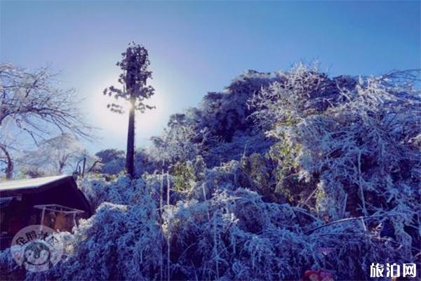 2019-2020重庆冷水国际滑雪场12月16日开滑 附班车信息