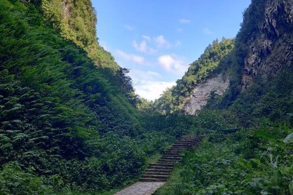 通灵大峡谷风景区在哪里