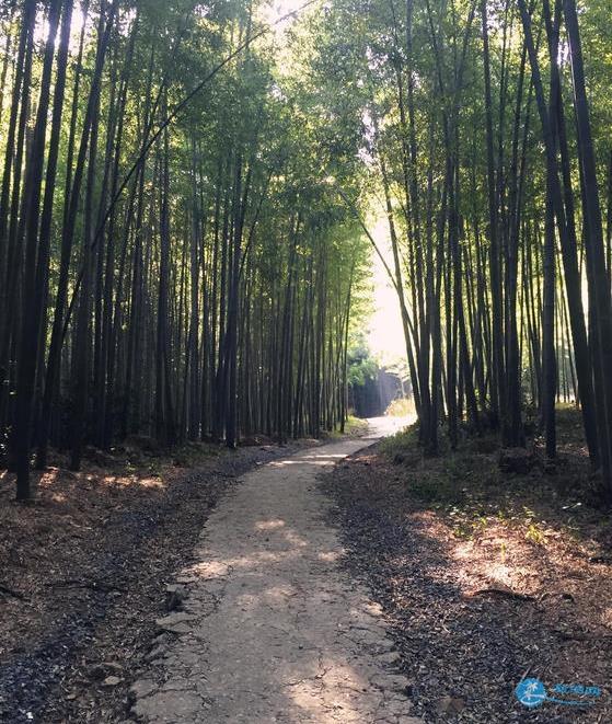 湖南常德药山寺二日游攻略