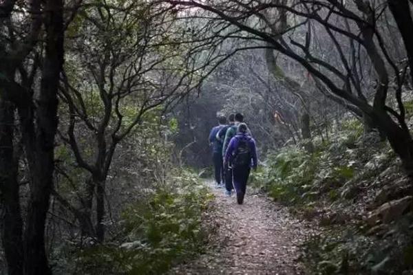 无锡秋季徒步路线推荐