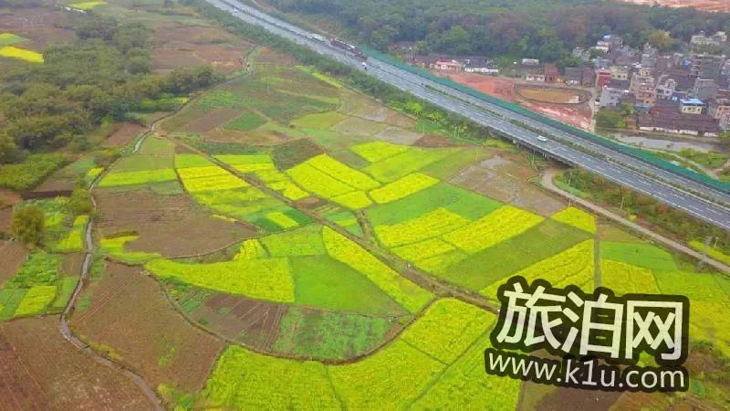 清远英德横石塘镇唐屋村看油菜花攻略