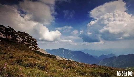 东坪沟高山草甸攻略