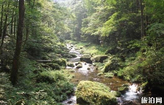 去张家界旅游住在哪里比较好