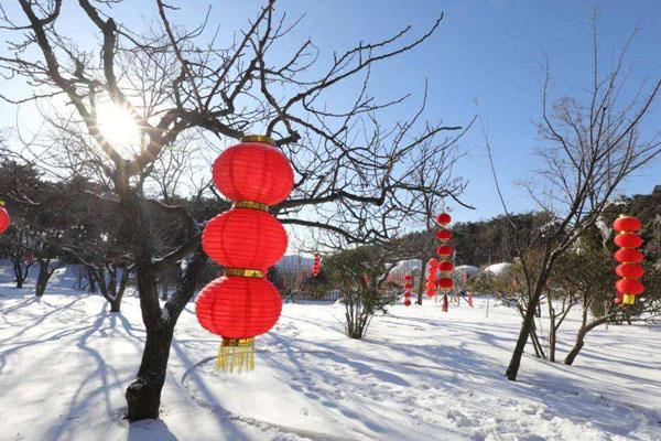 济南有没有滑雪的地方 济南哪里能滑雪