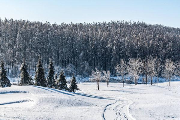 长春滑雪场哪个最好玩 吉林长春滑雪场排名