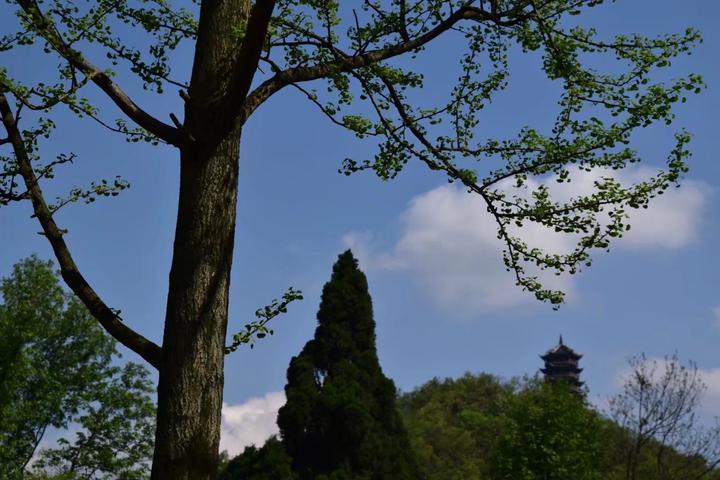  都江堰风景区在哪儿