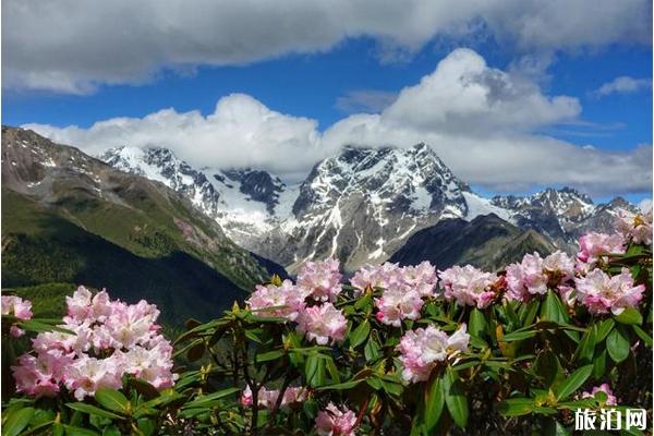 香格里拉到千湖山有车吗