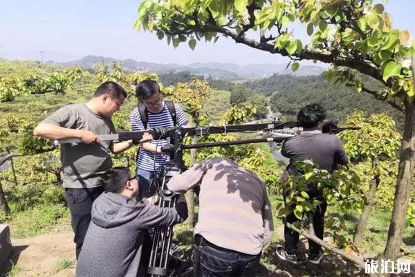 重庆五和梨园赏花时间 怎么去