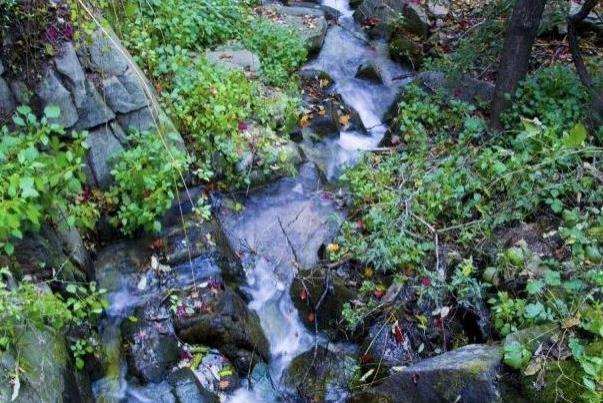 怎么去九如山瀑布群风景区 九如山是哪个省的