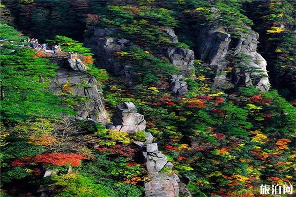 黄山山顶酒店怎么预订