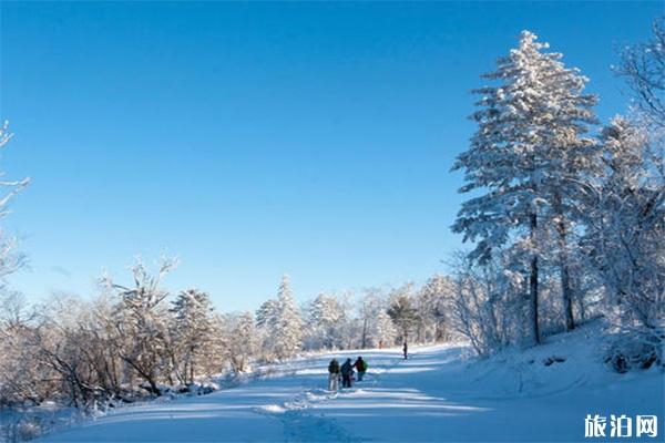 亚布力大青山滑雪场门票价格