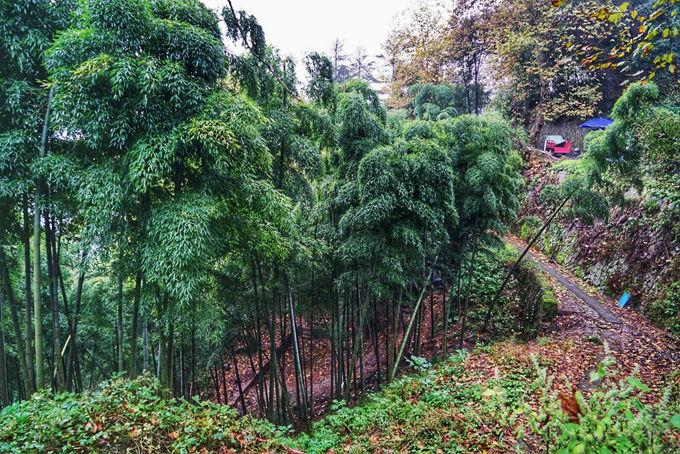 莫干山有什么好玩的 莫干山有哪些旅游景点