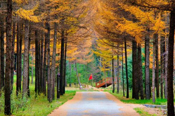 六盘山国家森林公园旅游攻略 景点一日游攻略