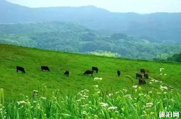 北京去丰宁坝上草原自驾游攻略