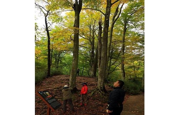 光雾山住宿那里比较好