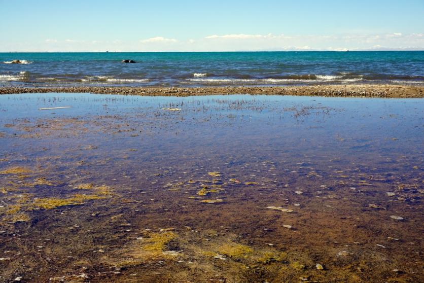 青海湖有什么景点 青海湖需要门票吗