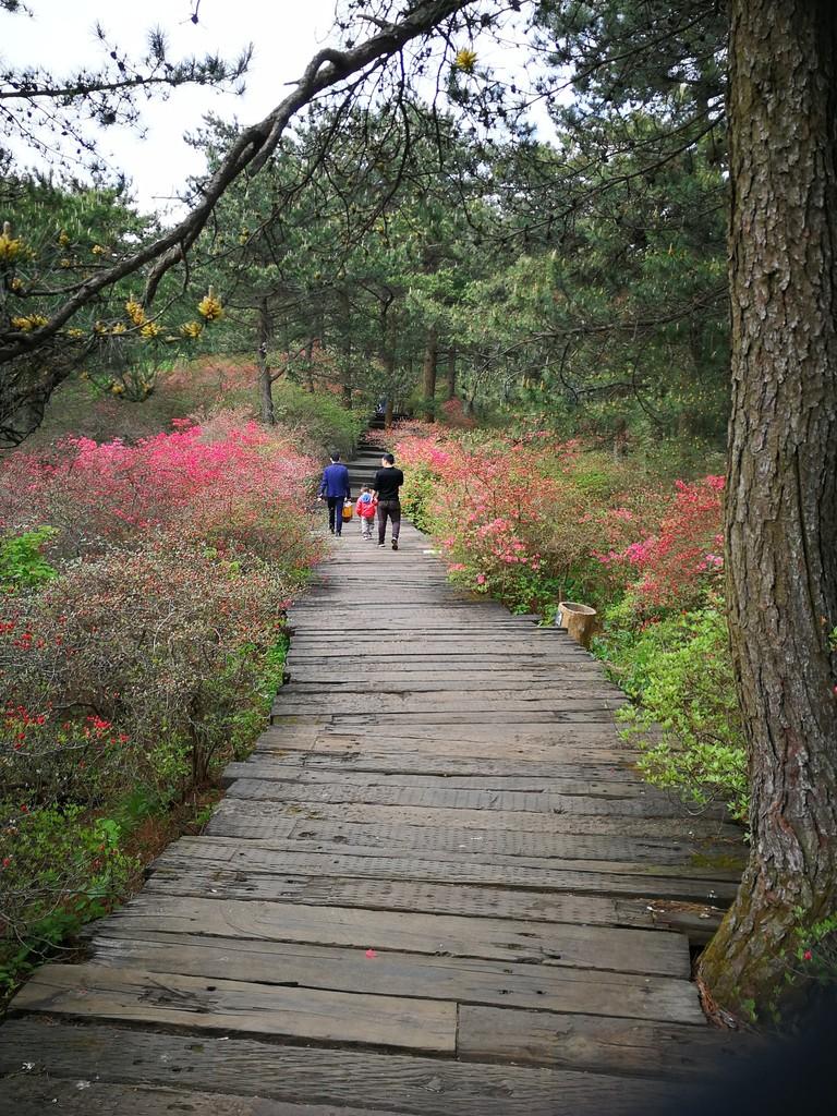 龟峰山风景区好玩吗 龟峰山旅游攻略