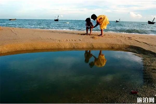 钦州三娘湾可以赶海吗 附赶海最佳时间