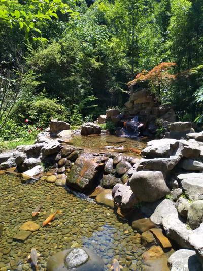 千岛湖有哪些景点 无锡到千岛湖旅游怎么计划