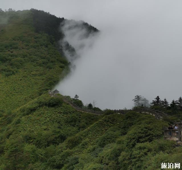 成都自驾西岭雪山攻略