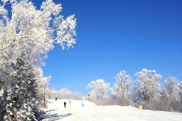 2020亚布力滑雪旅游度假区开放时间 亚布力滑雪旅游度假区旅游攻略